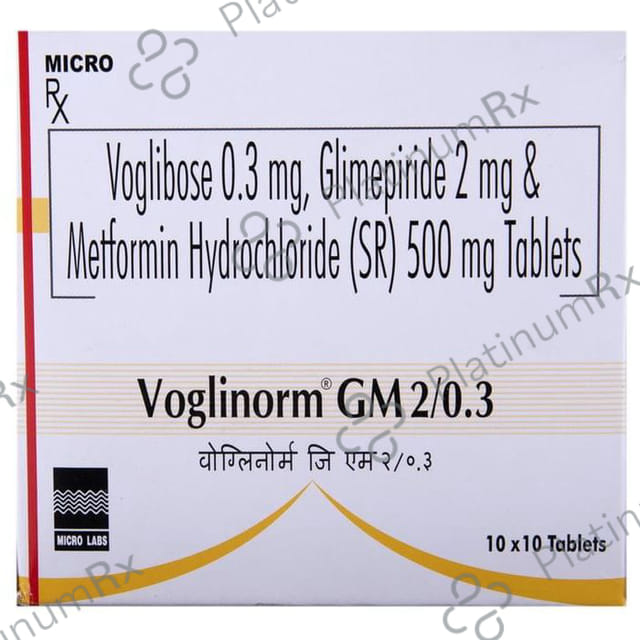 Voglinorm GM 2/0.3 2/500/0.3mg Tablet SR 10s