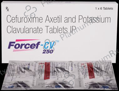Forcef CV 250/62.5mg Tablet 6s