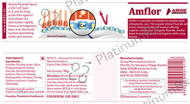 Amflor Toothpaste 70gm