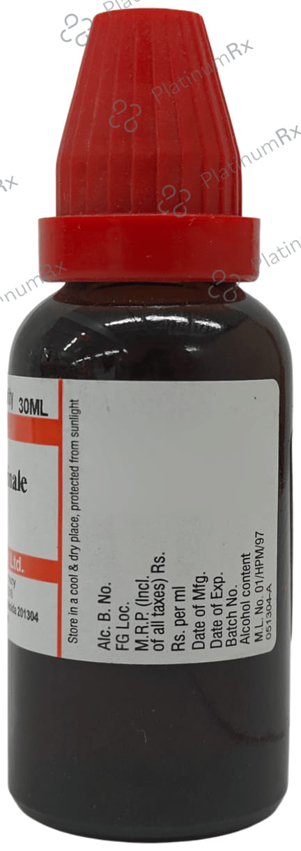 Dr Willmar Schwabe India Symphytum Officinale Mother Tincture Q
