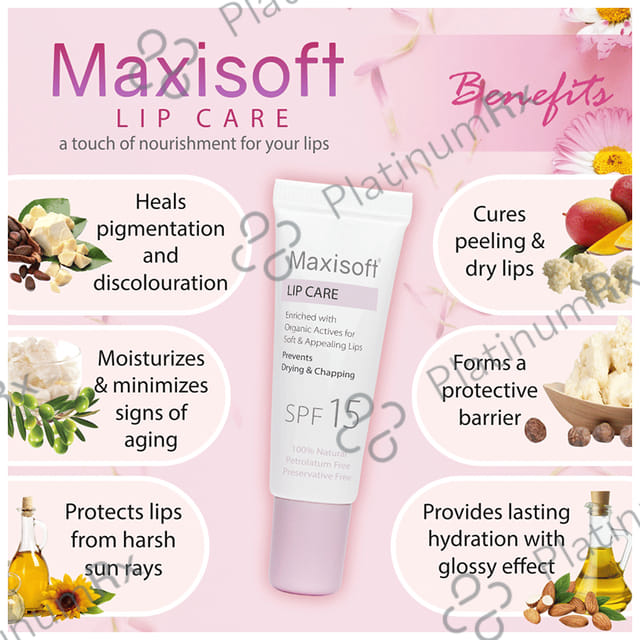 Maxisoft Lip Care SPF 15 (10gm Each) 6 Tubes