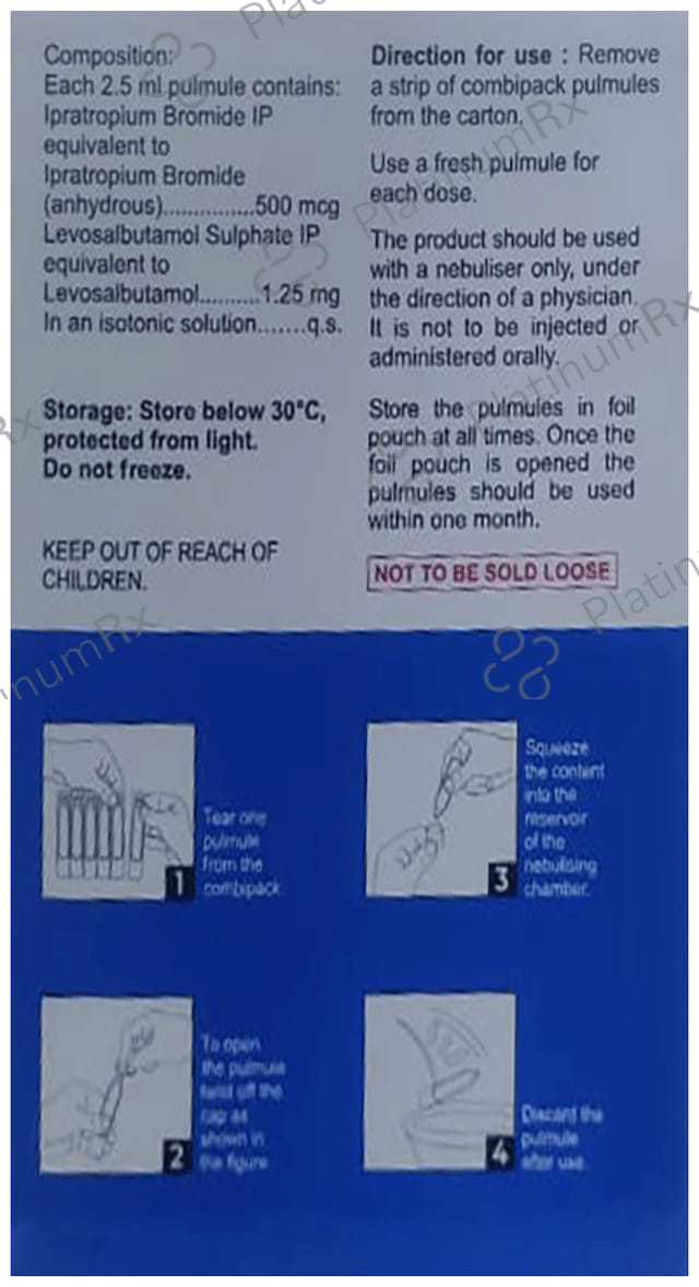 Iprasure Pulmules 500mcg/1.25mg Solution 5X2.5ml