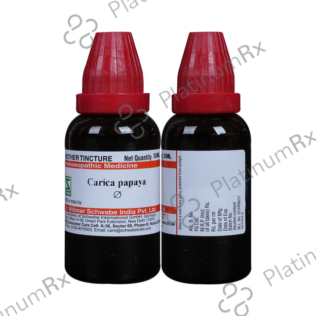 Dr Willmar Schwabe India Carica Papaya Mother Tincture Q