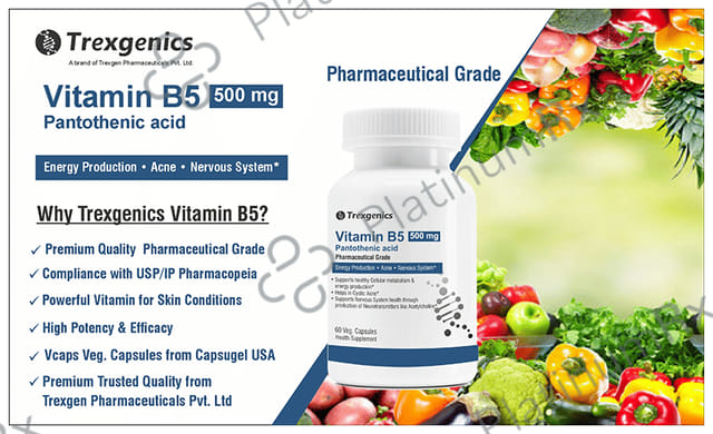 Trexgenics Vitamin B5 500mg Veg. Capsules