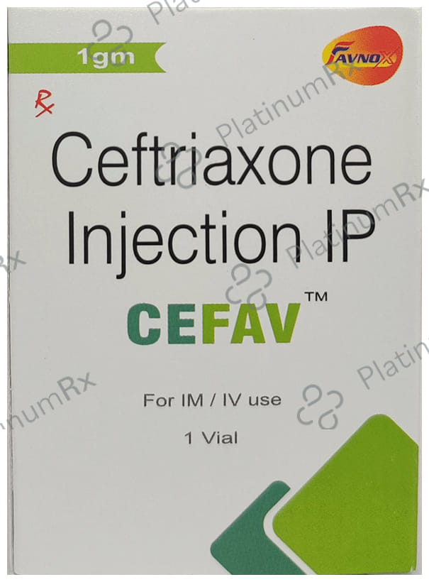 Cefav 1000mg Injection