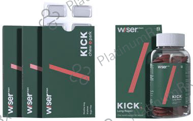 Wiser Men Kick Quit 4mg Smoking Kit 1s