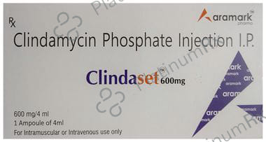 Clindaset 600mg Injection 4 Injection