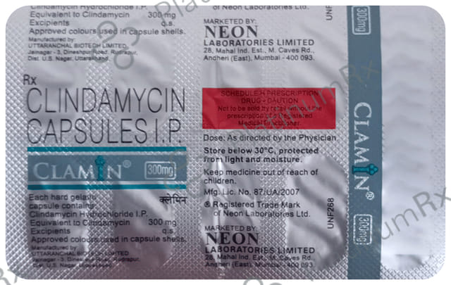 Clamin 300mg Capsule 10s