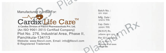 Rosuvil Gold 10mg Capsule 10s