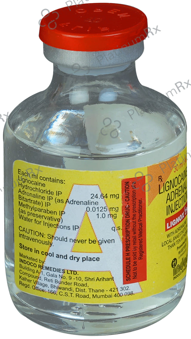 Lignox 2% A Injection 30ml