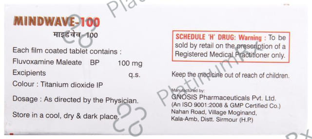 Mindwave 100 Tablet