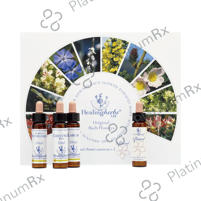 Healing Herbs Bach Flower Remedies Kit of 10ml