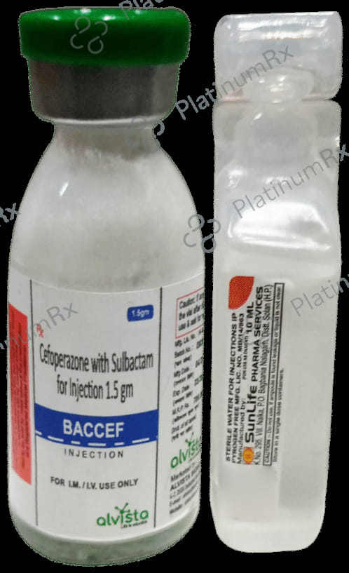 Baccef Injection