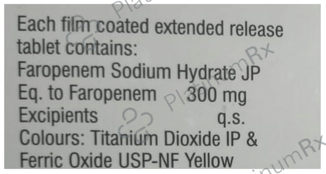 Ferolong 300mg Tablet ER 10s