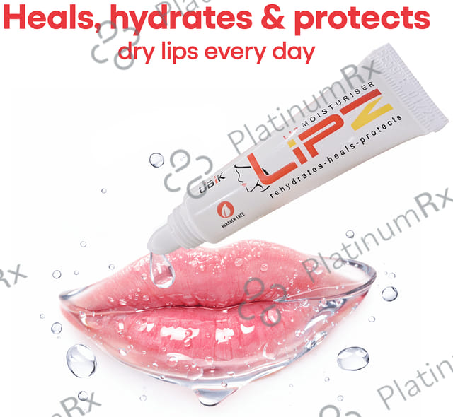 Lipz SPF 15 Lip Moisturiser 9gm