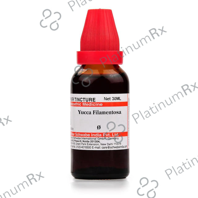 Dr Willmar Schwabe India Yucca Filamentosa Mother Tincture Q