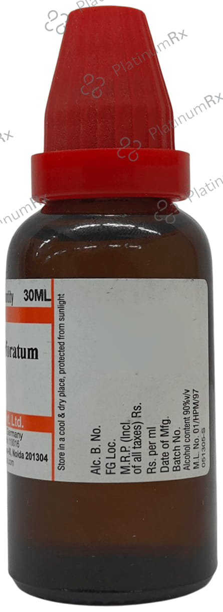 Dr Willmar Schwabe India Hypericum Perforatum Dilution 30 CH