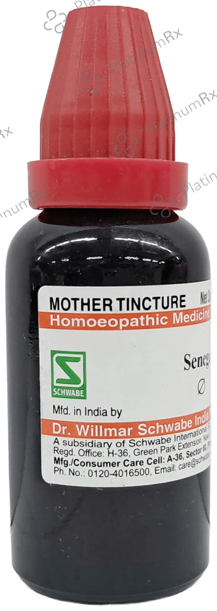Dr Willmar Schwabe India Senega Mother Tincture Q