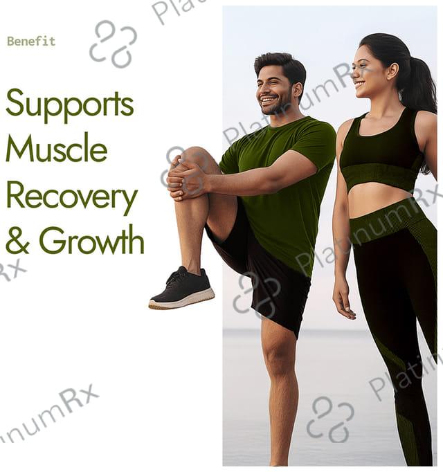 Kapiva Him Foods Plant Protein - Post-Workout Recovery Protein Shake Chocolate