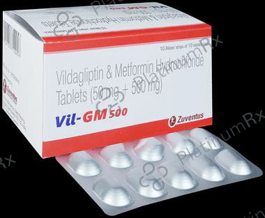 Vil GM 500mg Tablet 10s