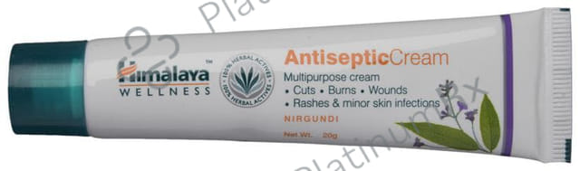 Himalaya Wellness Antiseptic Cream