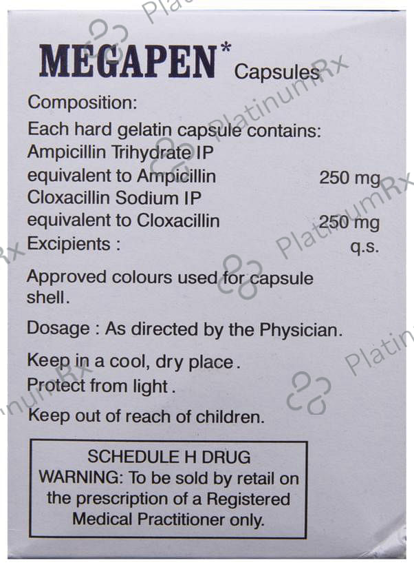 Megapen 250/250mg Capsule 10s
