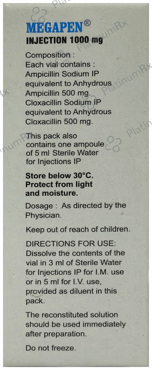 Megapen 1gm Injection 2ml