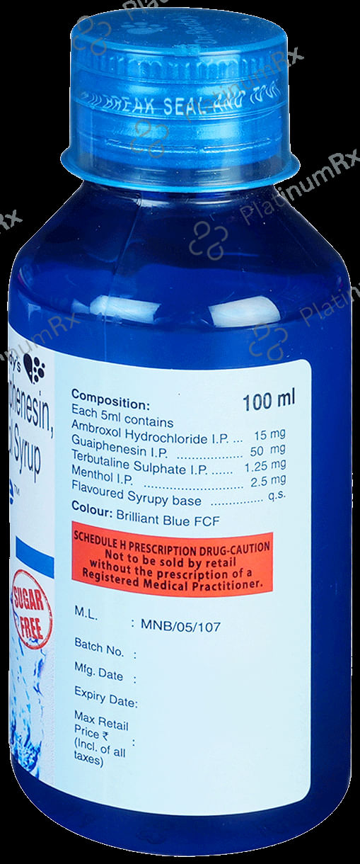 Viscodyne Syrup 100ml