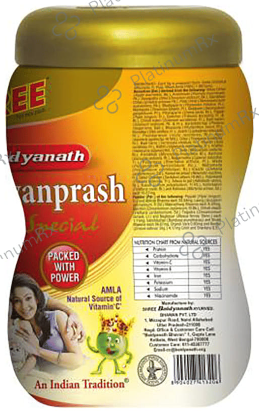 Baidyanath Noida Chyawanprash Special 1000gm