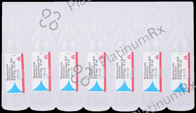Nebzmart B 0.5mg Smartules Respules 7X2ml