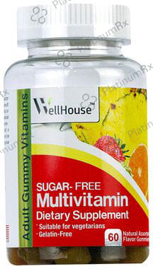 Wellhouse Multivitamin Gummy Natural Assorted Sugar Free
