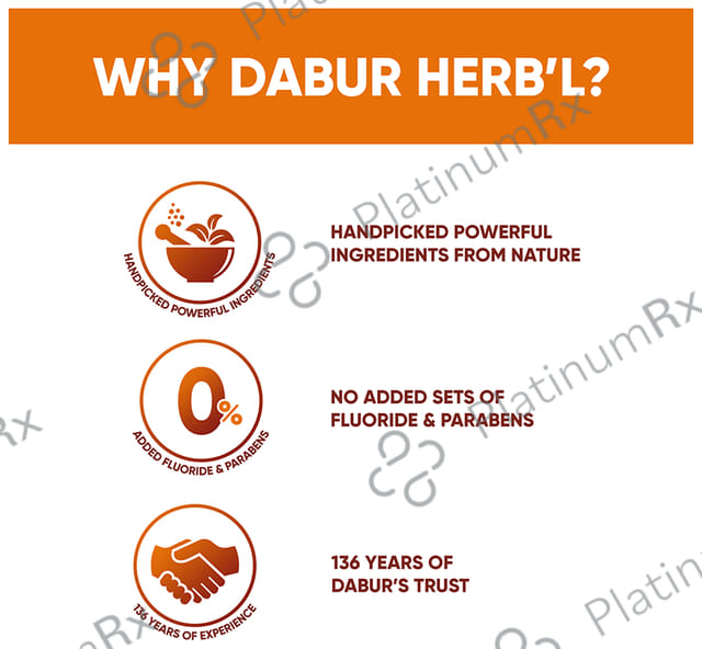 Dabur Clove Cavity Protection Herb'l Toothpaste (200gm Each)