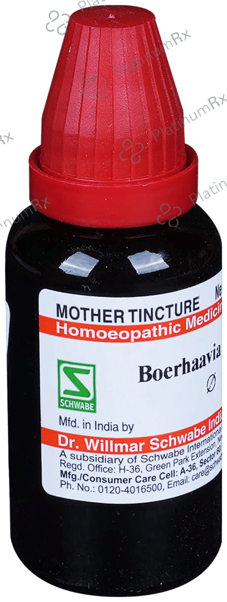 Dr Willmar Schwabe India Boerhaavia Diffusa Mother Tincture Q