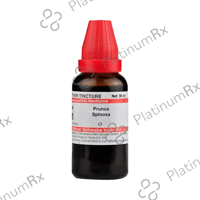 Dr Willmar Schwabe India Prunus Spinosa Mother Tincture Q