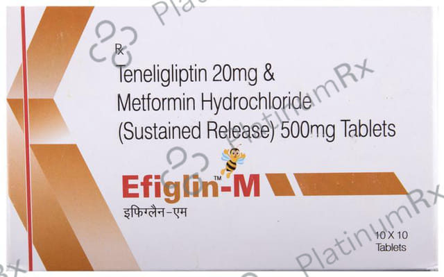 Efiglin M 500/20mg Tablet ER 10s