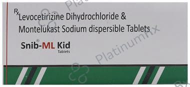 Snibml Kid Tablet DT 10s