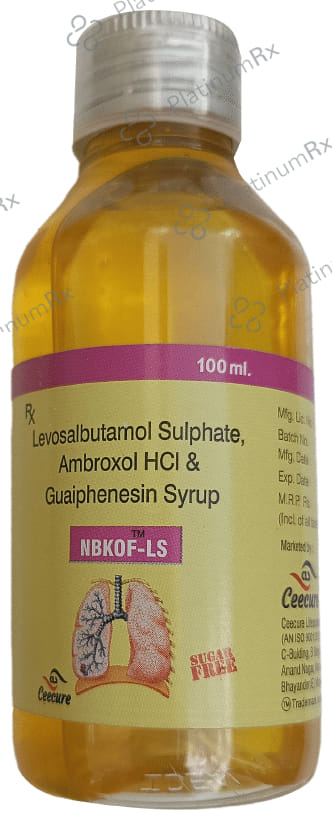 Nbkof-LS Syrup Sugar Free