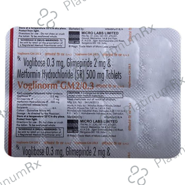 Voglinorm GM 2/0.3 2/500/0.3mg Tablet SR 10s