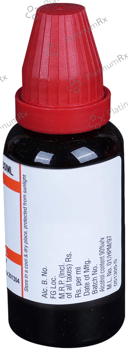 Dr Willmar Schwabe India Cydonia Vulgaris Dilution 1M