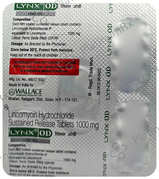 Lynx OD 1000mg Tablet 5s