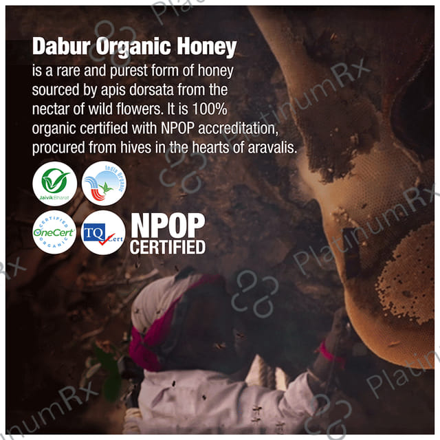 Dabur Organic Honey 100% Pure & Natural Raw 300gm