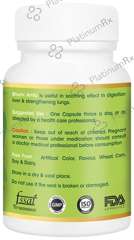 Vitagreen Bhumi Amla 500mg Capsule 60s