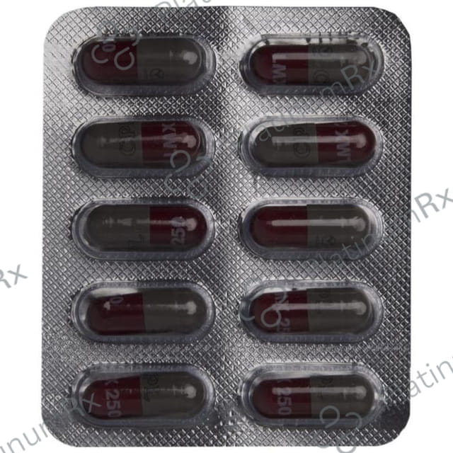 LMX 250 Capsule