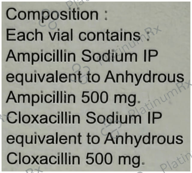 Megapen 1gm Injection 2ml