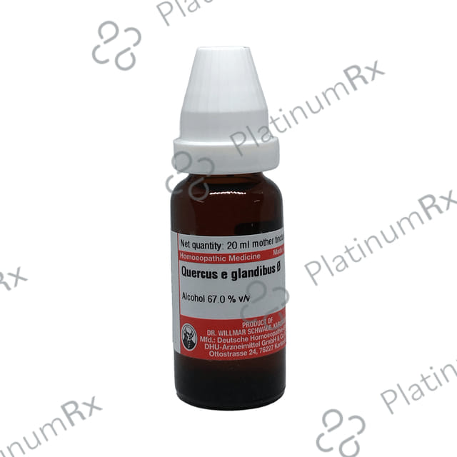 Dr Willmar Schwabe Germany Quercus E Glandibus Mother Tincture Q