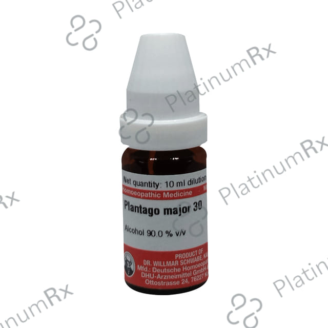 Dr Willmar Schwabe Germany Plantago Major Dilution 30