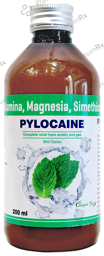 Pylocaine Oral Suspension Mint Sugar Free