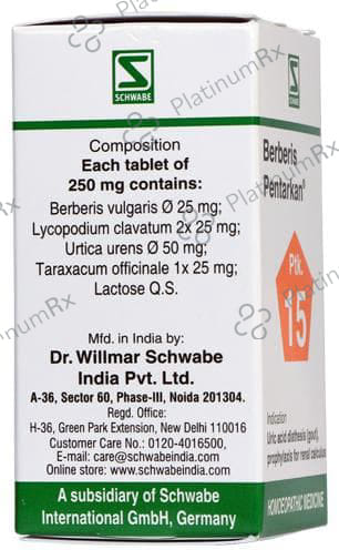 Dr Willmar Schwabe India Berberis Pentarkan Tablet