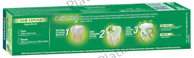 Himalaya Active Fresh Gel Saunf & Mint Flavour Toothpaste 80gm