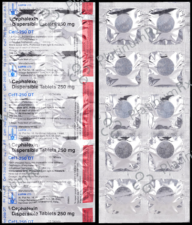 Ceff 250mg Tablet DT 10s